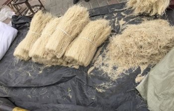 农村的大集市，很多东西一年只卖一次！