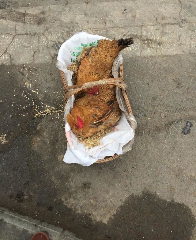 农村的大集市，很多东西一年只卖一次！