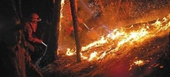 大兴安岭火灾外线明火被全部扑灭 严防死灰复燃