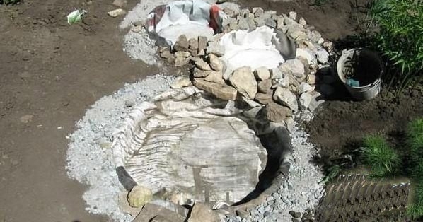 不解女子为何在院子里埋下轮胎，最后结果却让邻居刮目相看！