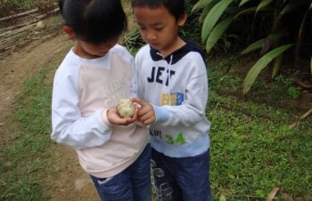 小孩野外捡到一个“鸡蛋”，放到鸡窝孵化长大发现越来越不对劲！