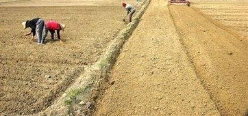 这些顺口溜，目前在农村很流行，是不是很现实呢？