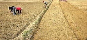 这些顺口溜，目前在农村很流行，是不是很现实呢？