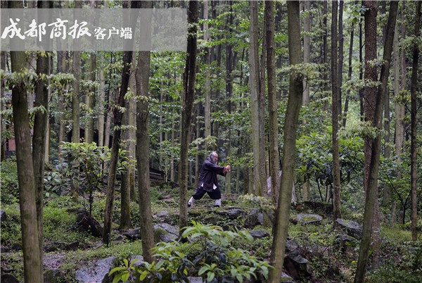 青城派掌门赞成武术“打假” ：如被挑战随时可应战