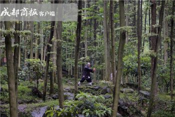 青城派掌门赞成武术“打假” ：如被挑战随时可应战