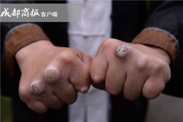 青城派掌门赞成武术“打假” ：如被挑战随时可应战