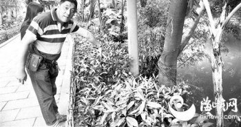 福州白马河边 大狗迎面扑来八旬依伯吓得坠河