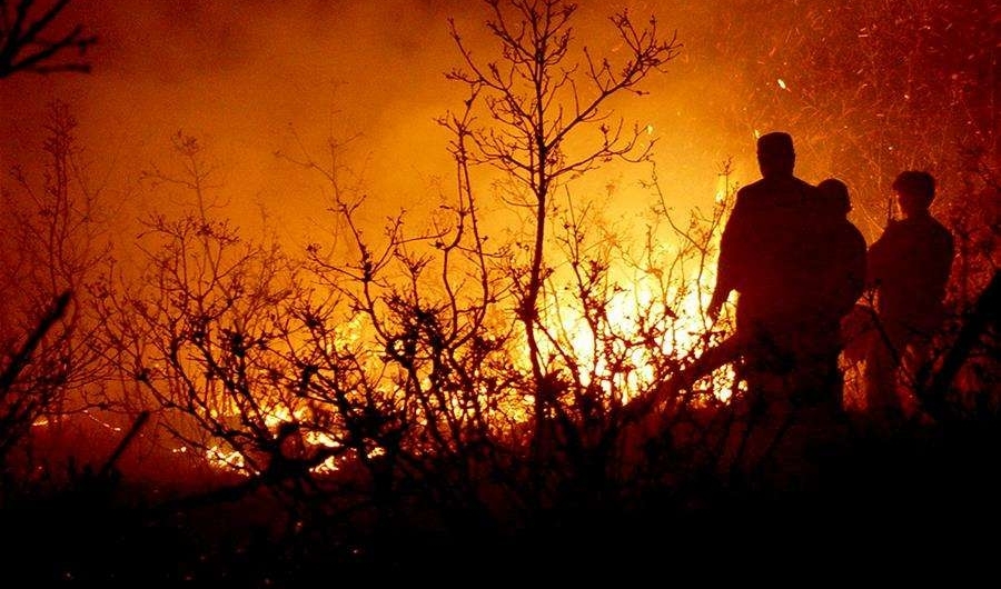 内蒙古大兴安岭森林火灾起火原因查明　嫌疑人被刑拘