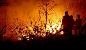 内蒙古大兴安岭森林火灾起火原因查明　嫌疑人被刑拘