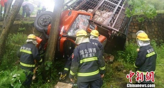 湖北襄阳：运猪货车冲下路基 50头生猪近半死亡