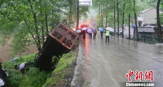 湖北襄阳：运猪货车冲下路基 50头生猪近半死亡