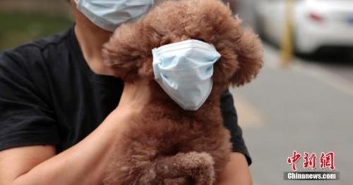 沙尘天气来袭 河北10市空气质量指数爆表