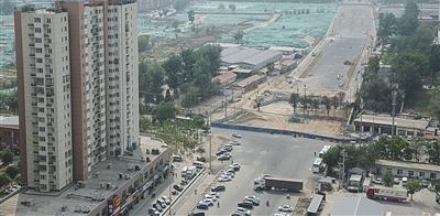 16棵“钉子树”拦住东坝一条路