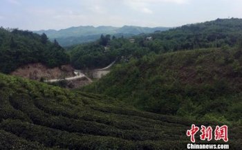 驻村日记：入山·初到简槽村