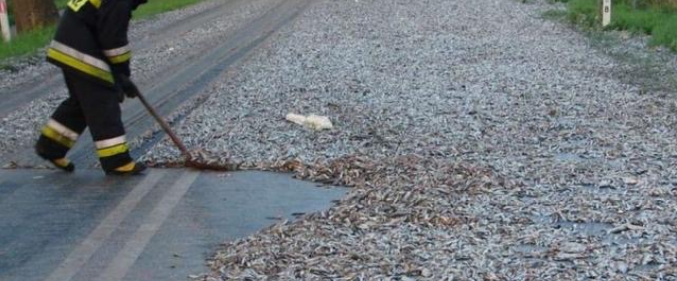 小镇暴雨过后，居民拿麻包赶来，环卫工人却面如土色
