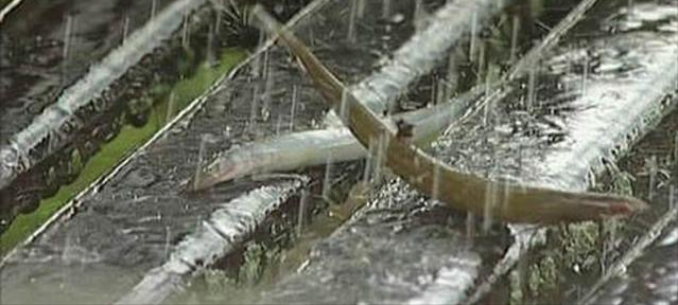 小镇暴雨过后，居民拿麻包赶来，环卫工人却面如土色