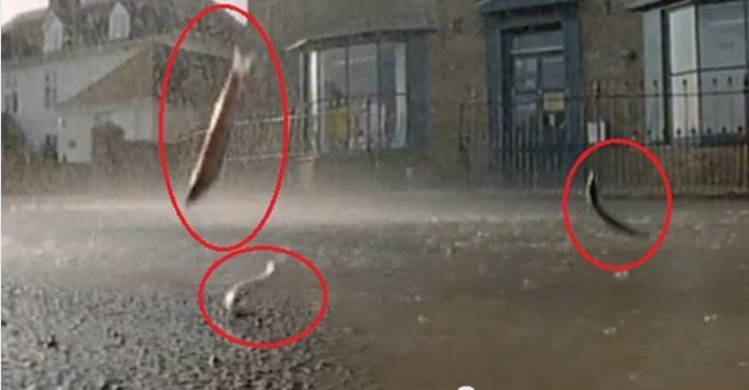 小镇暴雨过后，居民拿麻包赶来，环卫工人却面如土色