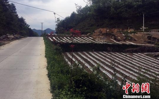 驻村日记：入山·初到简槽村