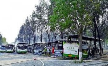 蟹岛大火未致人员伤亡 起因或与杨柳絮堆积有关