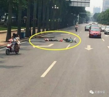 当心！公益路旁大椰树枯叶掉落砸倒路过的电动车女子