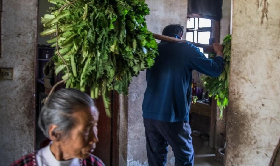 精神病男子一天吃四斤米 母亲为挣米钱摔骨折