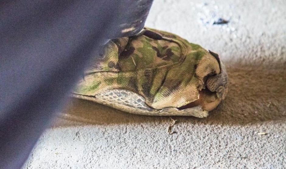 精神病男子一天吃四斤米 母亲为挣米钱摔骨折