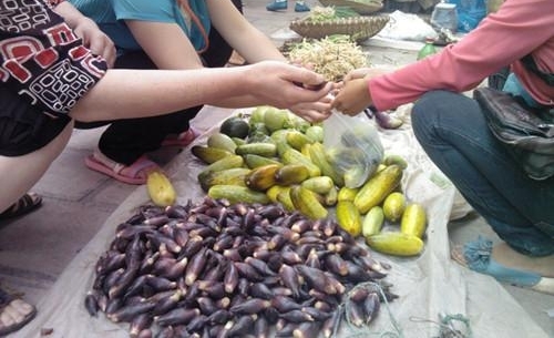 懒人吃的菜种植一次能够吃上好几年，住在高楼里的城里人也可以种