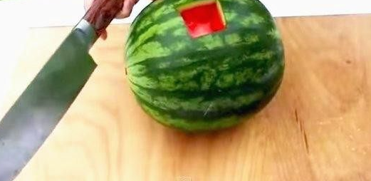 将西瓜切了一个口子，然后把这东西丢进去，西瓜汁就出来了！