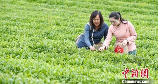 外国使节肯定贵州反贫困成就 将助力“黔货出山”