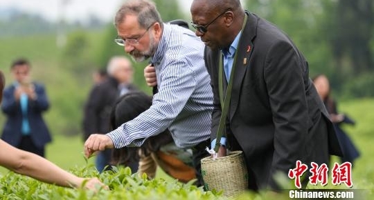 外国使节肯定贵州反贫困成就 将助力“黔货出山”