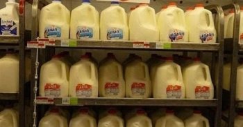 看看你一个月的工资在美国都能够买到什么 比国内便宜这么多