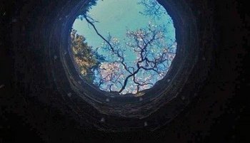 这14张图片里面，其中有一张图就是在说你！