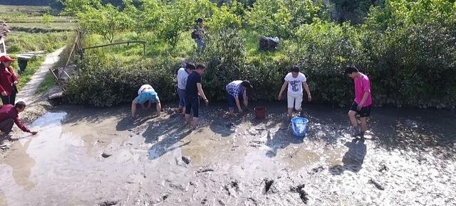 五一假游客天岳幕阜山亲自动手特色美味