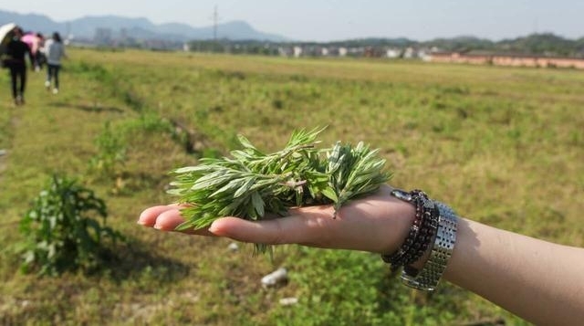 五一假游客天岳幕阜山亲自动手特色美味