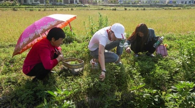 五一假游客天岳幕阜山亲自动手特色美味