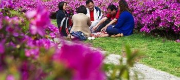 五一长假让你尝尝初夏的味道 今天冲击30度