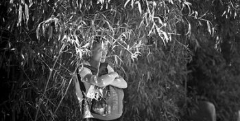 北京昨迎66年来4月最热一天 今明两天气温将回落