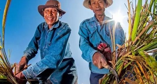 农村种地一定要搞清楚这些，符合条件的农民可补贴上千元