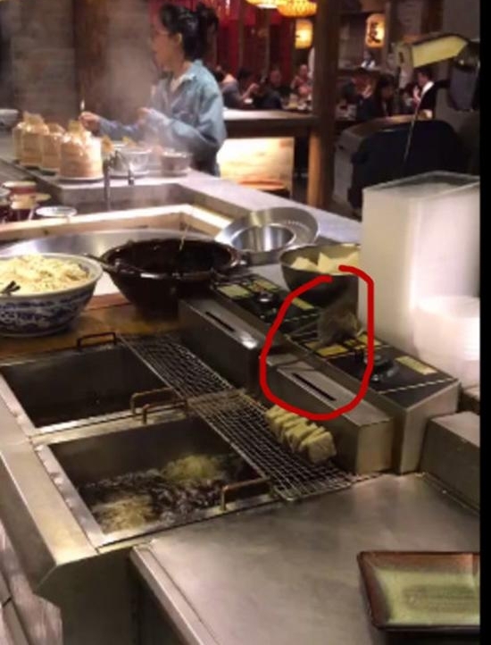 南京一餐饮店油锅上蹲着活老鼠 厨师拿做饭勺扑打