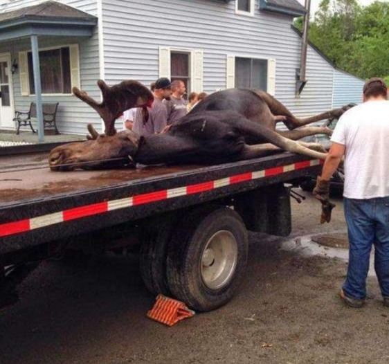 车主路上飙车突然天降横祸，交警赶到后看到伤者都直瞪眼