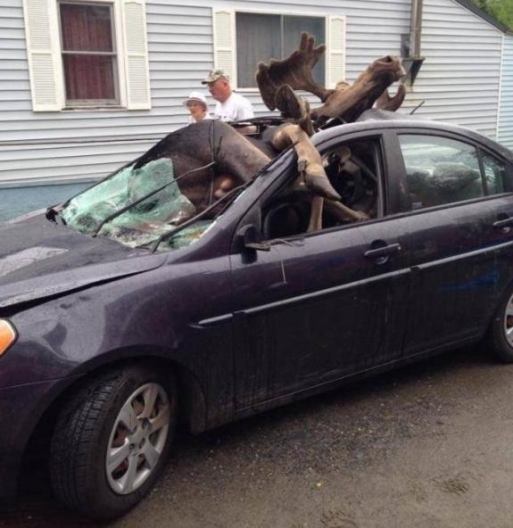 车主路上飙车突然天降横祸，交警赶到后看到伤者都直瞪眼