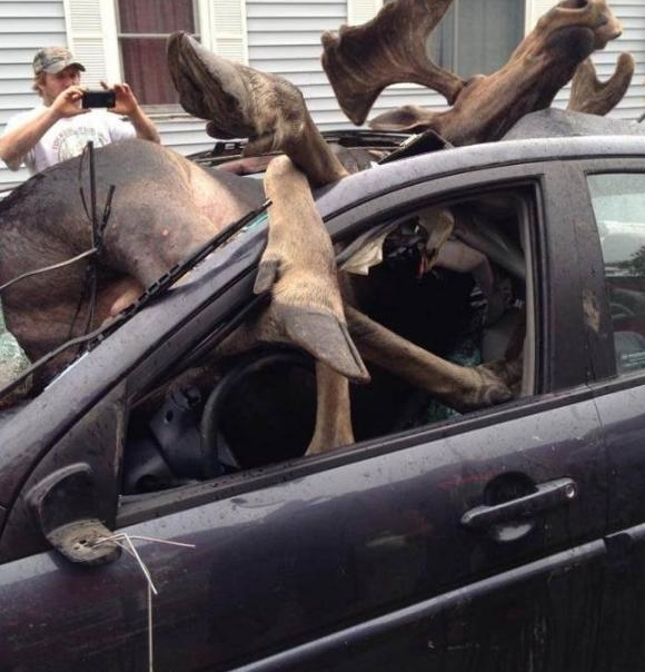 车主路上飙车突然天降横祸，交警赶到后看到伤者都直瞪眼