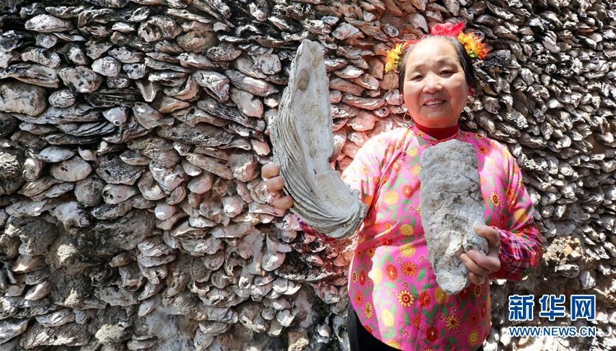 福建泉州蟳埔村的“蚝宅”