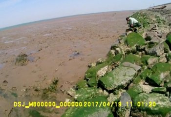 救援现场：老人滩涂遇险 民警背出泥潭