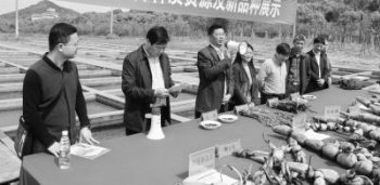 紧跟需求才是硬道理