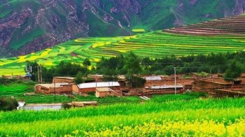 民间故事：小伙热心助人，最后得了满满一箱子金条