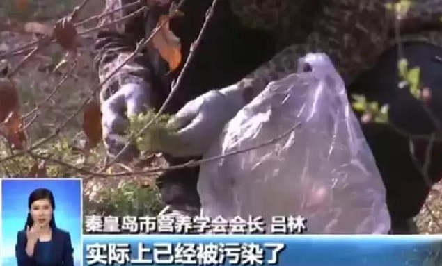 提醒 | 春天来了很多人喜欢吃野菜 但吃这些野菜有风险甚至致癌