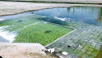 再等等，通惠河清淤快完工了