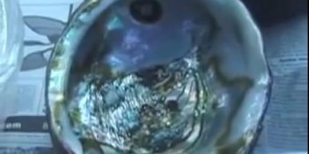 男子潜水给女儿带回黑色物体，打开后获不算小的财富