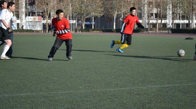 从年薪20万国企员工到回乡创业心路历程 连载（三）